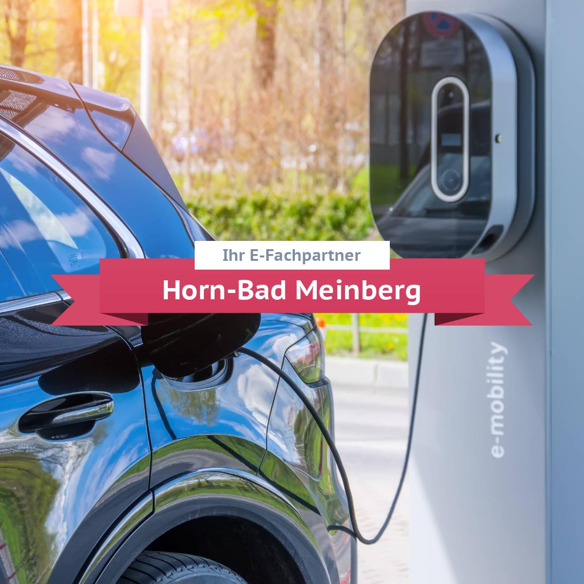 Beratung, Planung und Installation von bidirektionalen Ladelösungen in Horn-Bad Meinberg Mitarbeiter von einem Fachbetrieb in Horn-Bad Meinberg installiert eine bidirektionale Wallbox